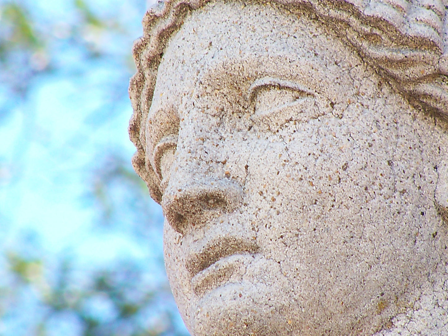 Cracked Image - Fine Art Photography Prints