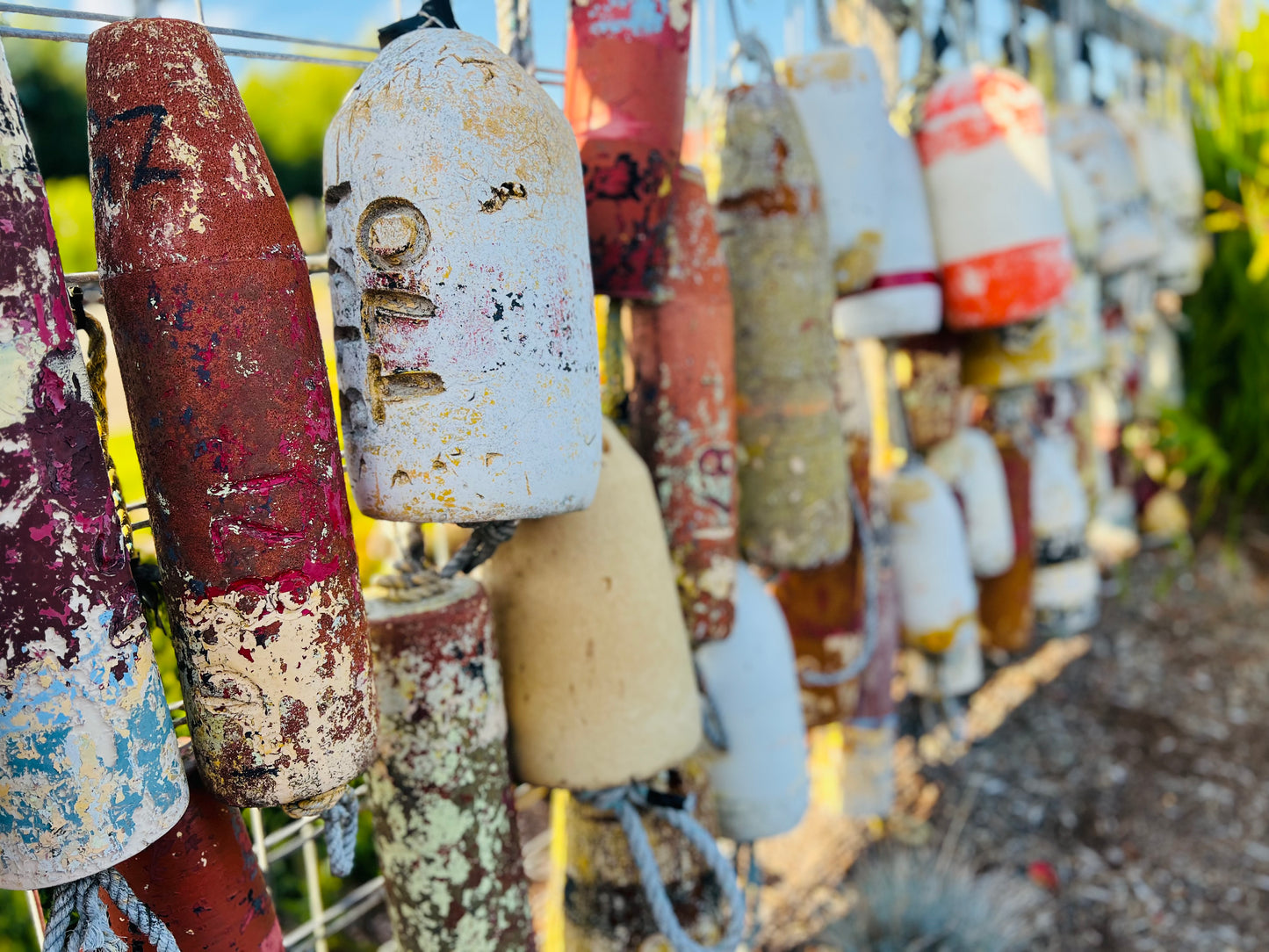 Buoys - Fine Art Photography Prints