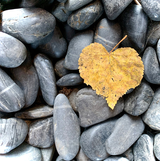 Heart + Stone - Fine Art Photography Prints