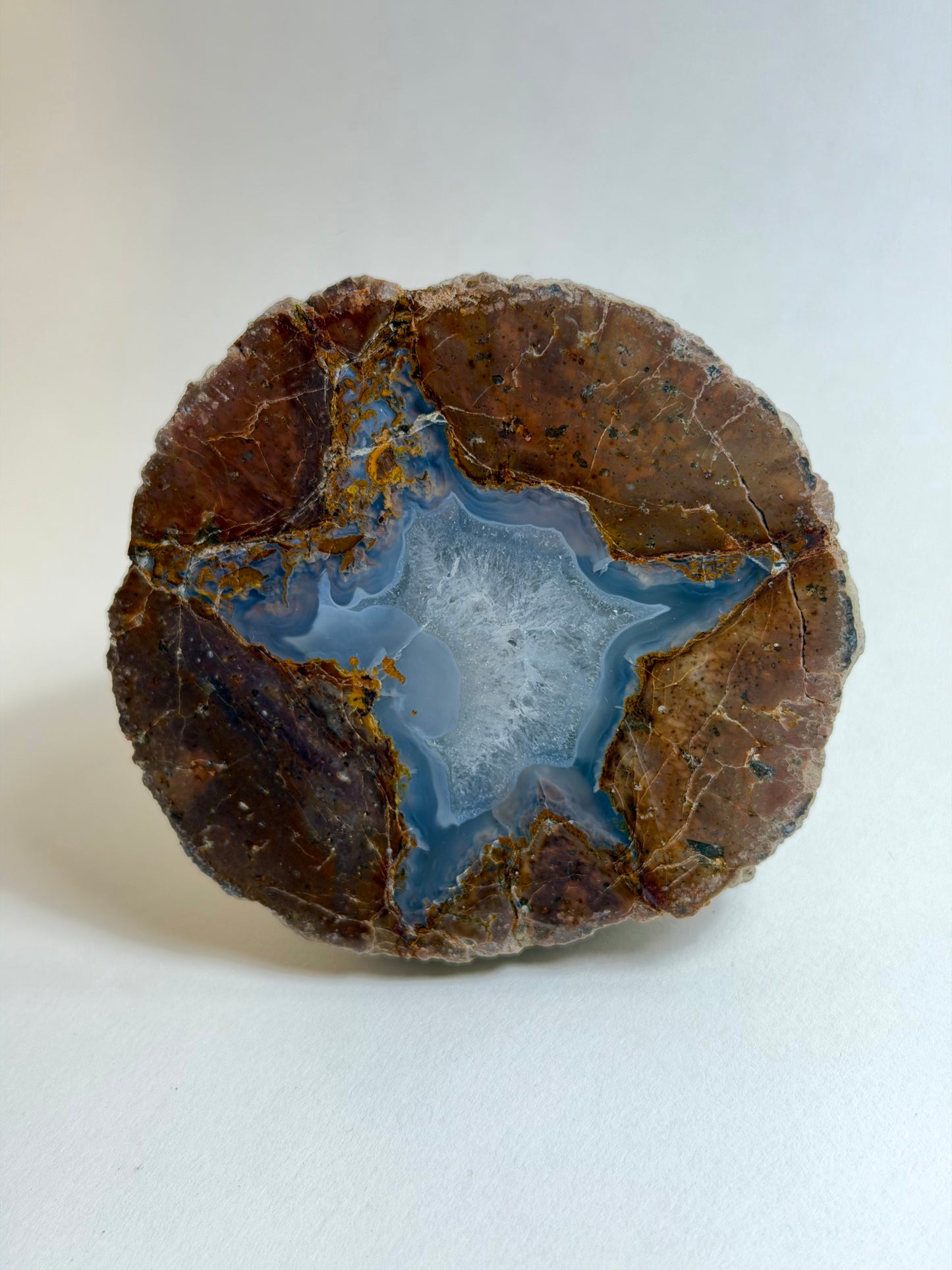 Found Polished Cross-Section Thunderegg Geode