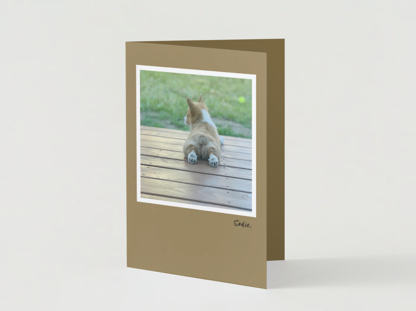 Handmade Photo Greeting Cards: 'Sadie' Art Note Cards