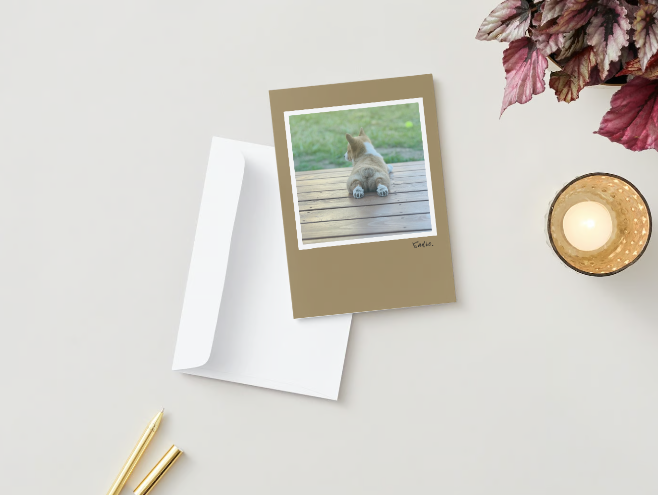 Handmade Photo Greeting Cards: 'Sadie' Art Note Cards